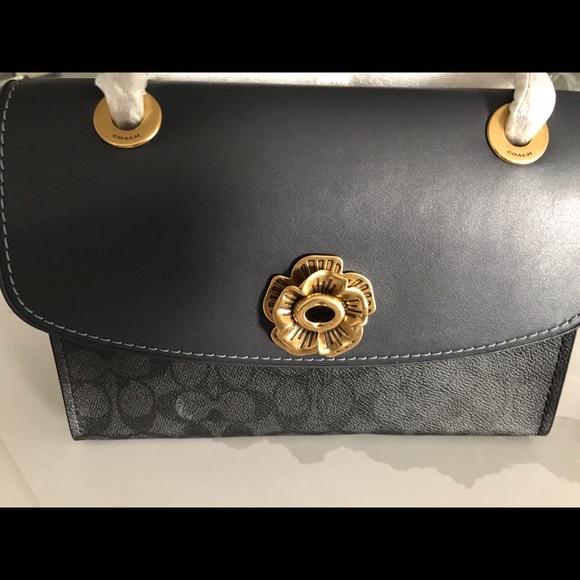 Coach - Picture 6 of 8